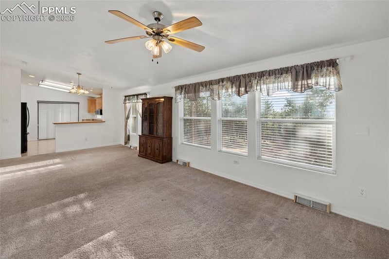 46 Kingston Cir, Florissant, CO 80816