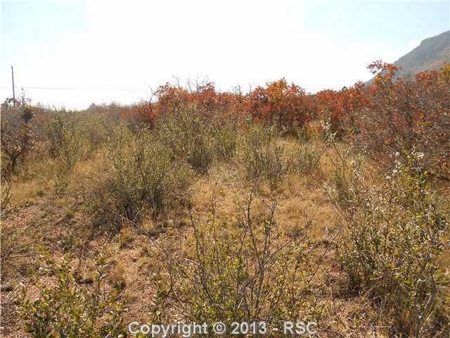 4625 Red Forest Rd, Monument, CO 80132
