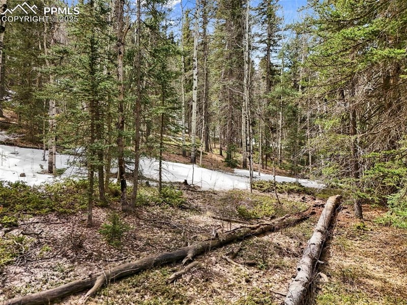 464 Bison Creek Trl, Florissant, CO 80816