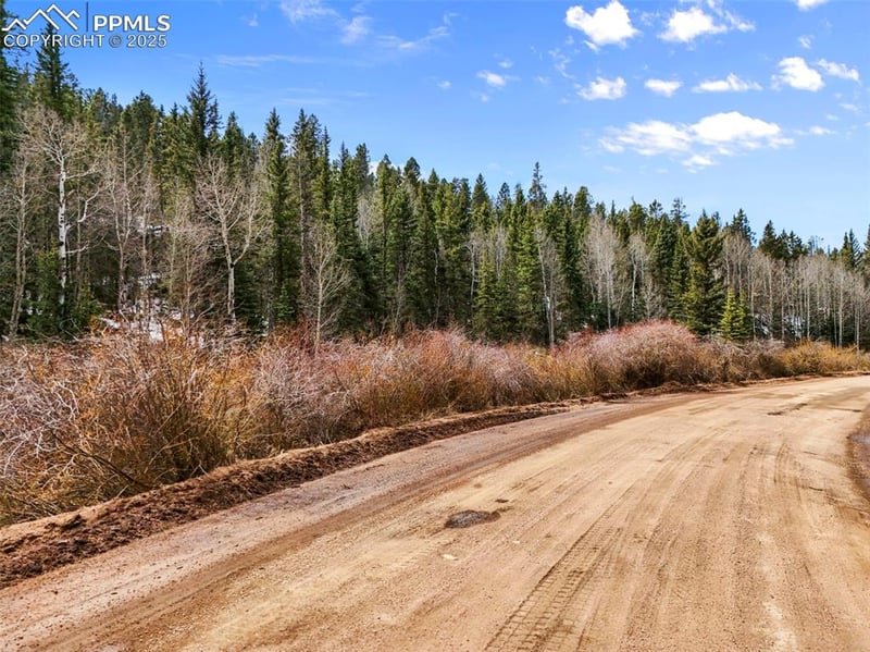 464 Bison Creek Trl, Florissant, CO 80816