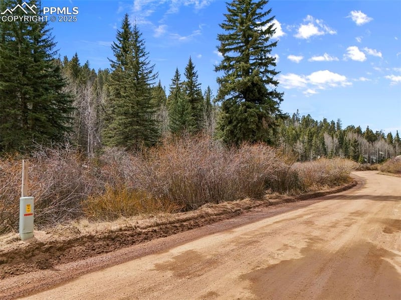 464 Bison Creek Trl, Florissant, CO 80816
