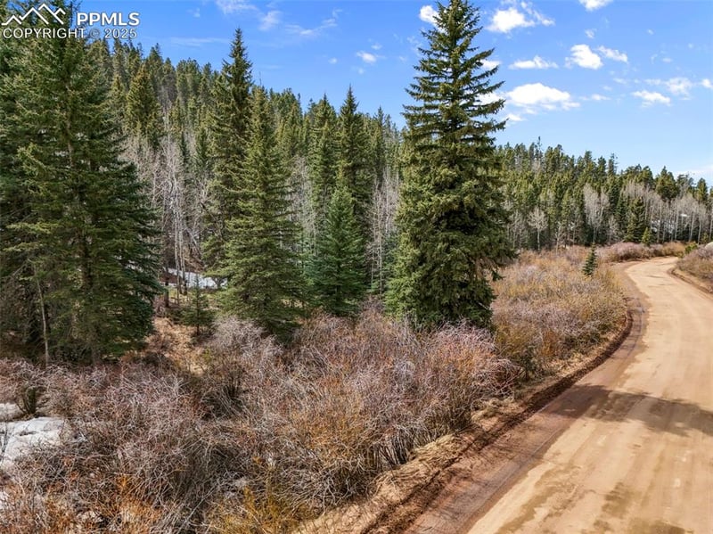 464 Bison Creek Trl, Florissant, CO 80816