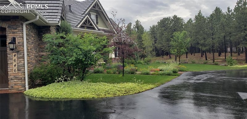4646 Wildroot Ct, Colorado Springs, CO 80908