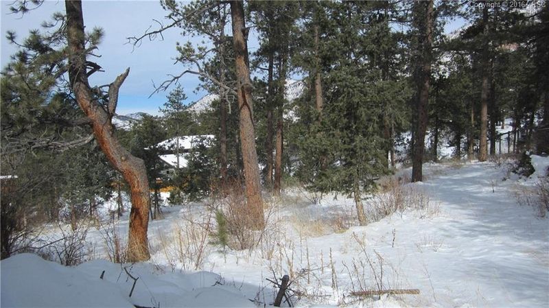 4670 Columbine Ln, Cascade, CO 80809
