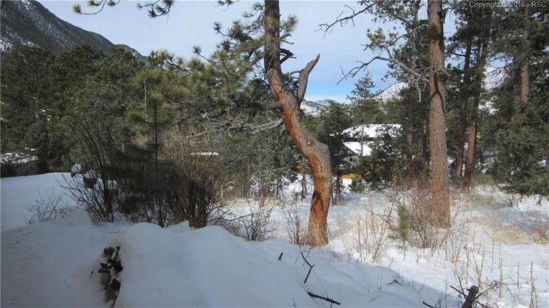 4670 Columbine Ln, Cascade, CO 80809