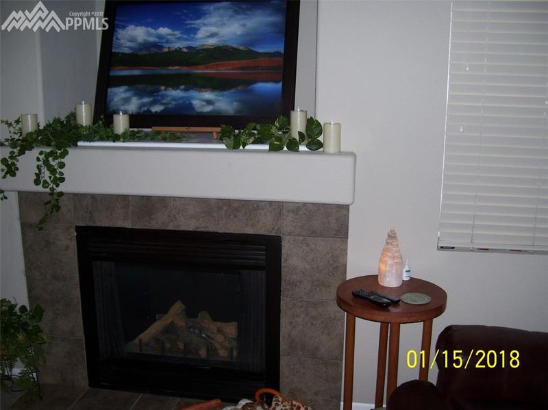 4670 Fish Hawk Point, Colorado Springs, CO 80922