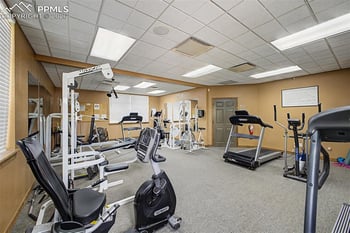 4687 Pine Marten Point, Colorado Springs, CO 80922