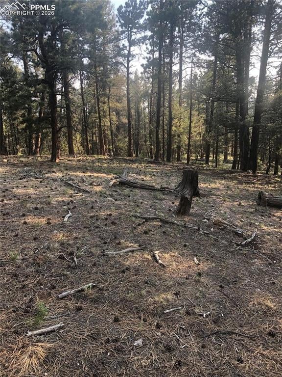 469 Echo Lake Dr, Lake George, CO 80827