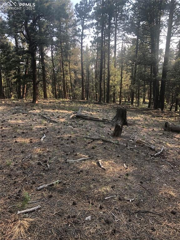 469 Echo Lake Dr, Lake George, CO 80827