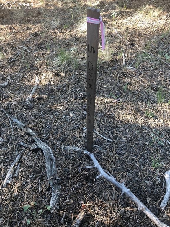 469 Echo Lake Dr, Lake George, CO 80827