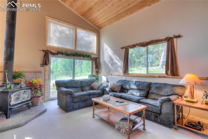 470 Highroad Dr, Divide, CO 80814