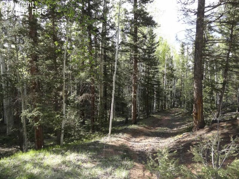 472 Black Bear Dr, Divide, CO 80814