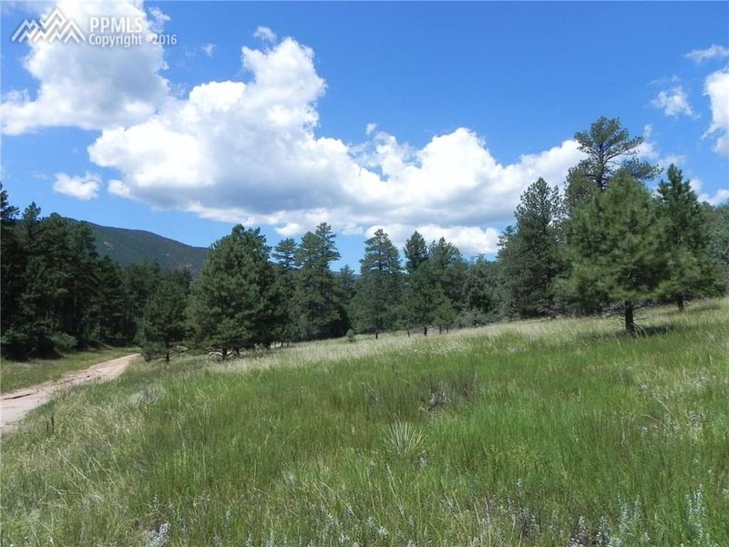 4729 Mohawk Dr, Larkspur, CO 80118