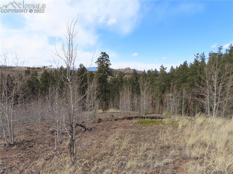 4734 County Road 33, Sedalia, CO 80135