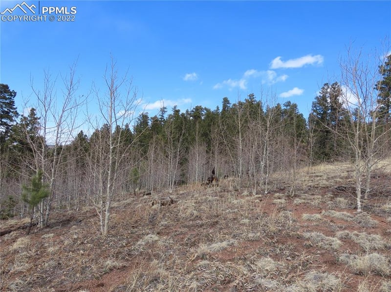 4734 County Road 33, Sedalia, CO 80135