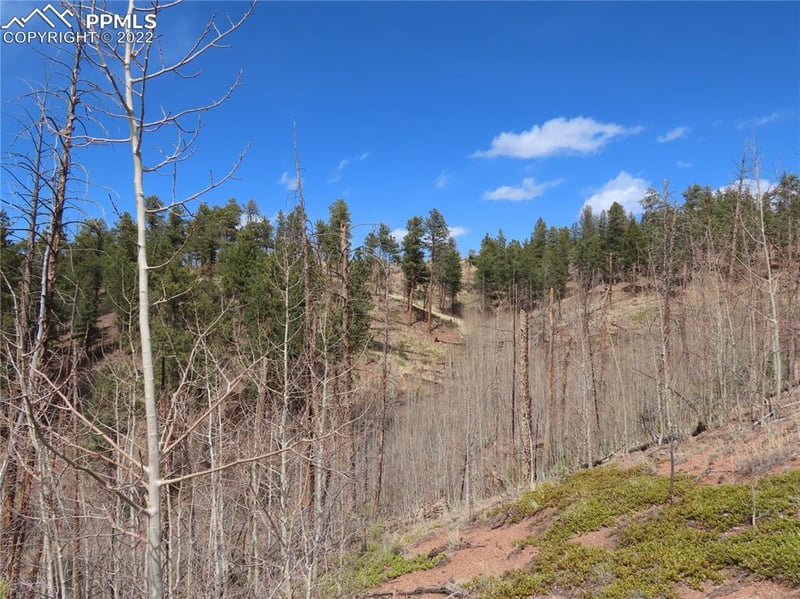 4734 County Road 33, Sedalia, CO 80135