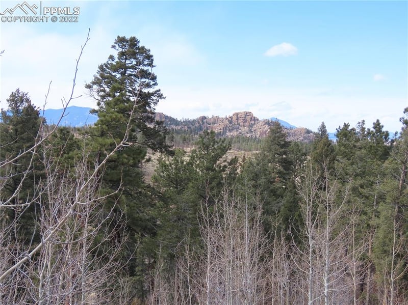 4734 County Road 33, Sedalia, CO 80135