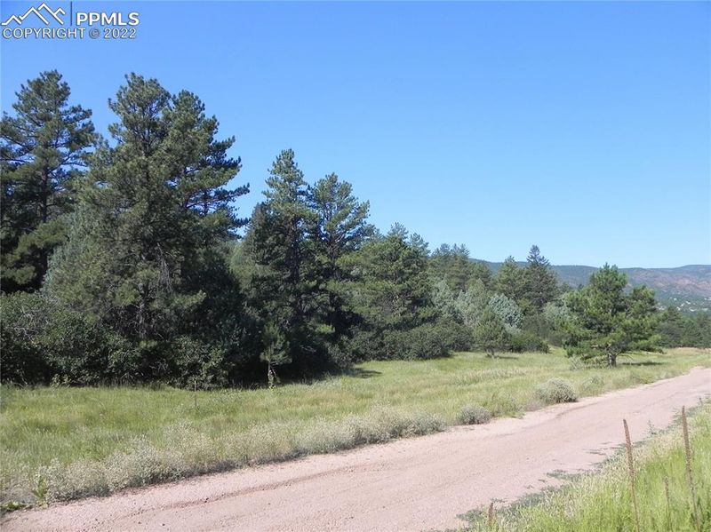 4742 Comanche Dr, Larkspur, CO 80118