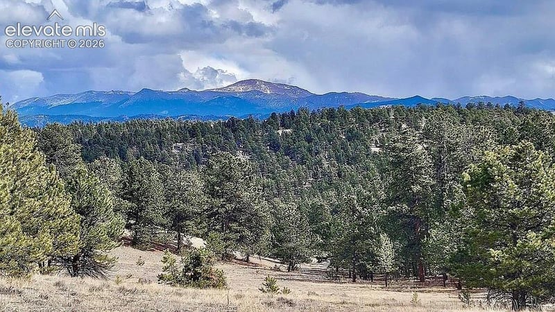 475 Sioux Rd, Florissant, CO 80816