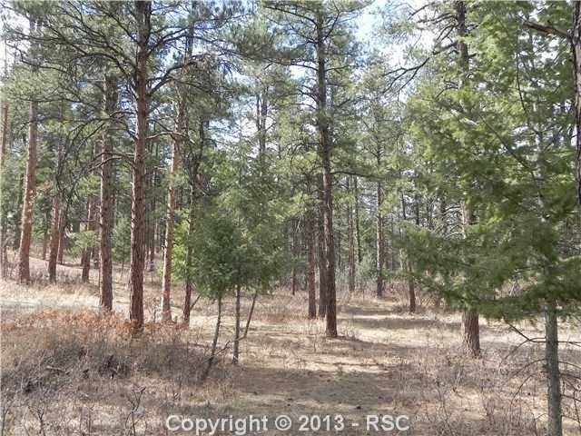 4783 Cheyenne Dr, Larkspur, CO 80118