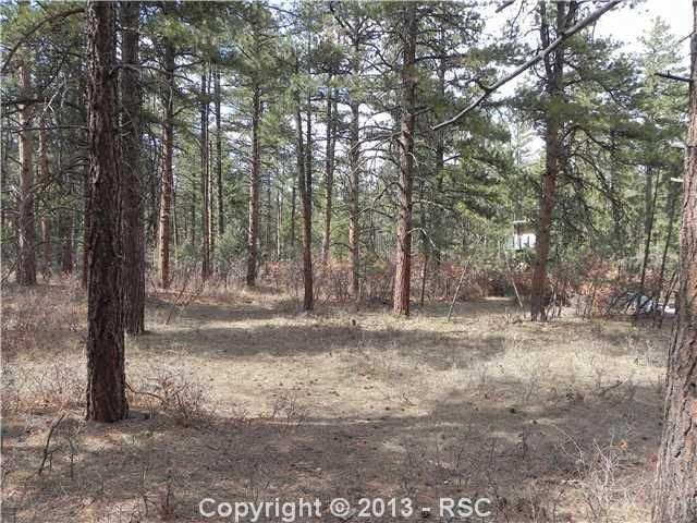 4783 Cheyenne Dr, Larkspur, CO 80118