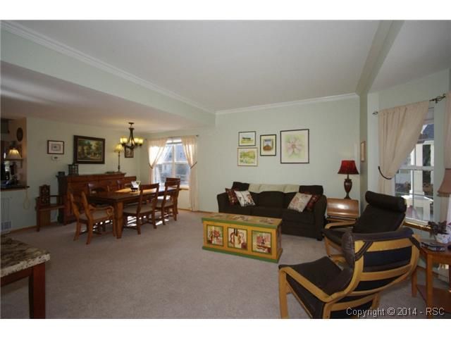 48 Pistol Creek Dr, Monument, CO 80132