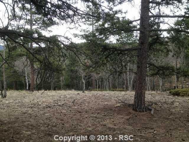 48 Red Cloud Rd, Woodland Park, CO 80863