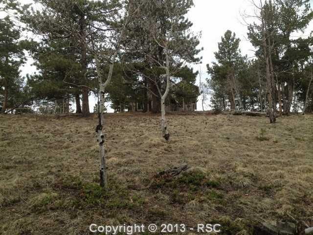 48 Red Cloud Rd, Woodland Park, CO 80863