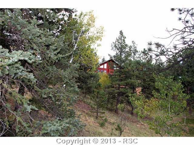 481 Woody Creek Rd, Divide, CO 80814