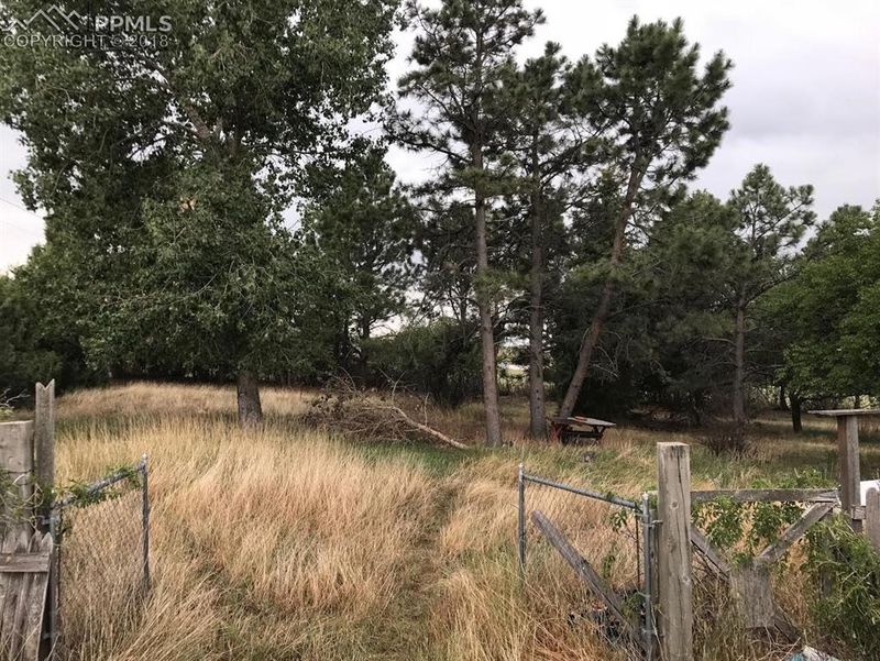 4810 Meridian Rd, Peyton, CO 80831