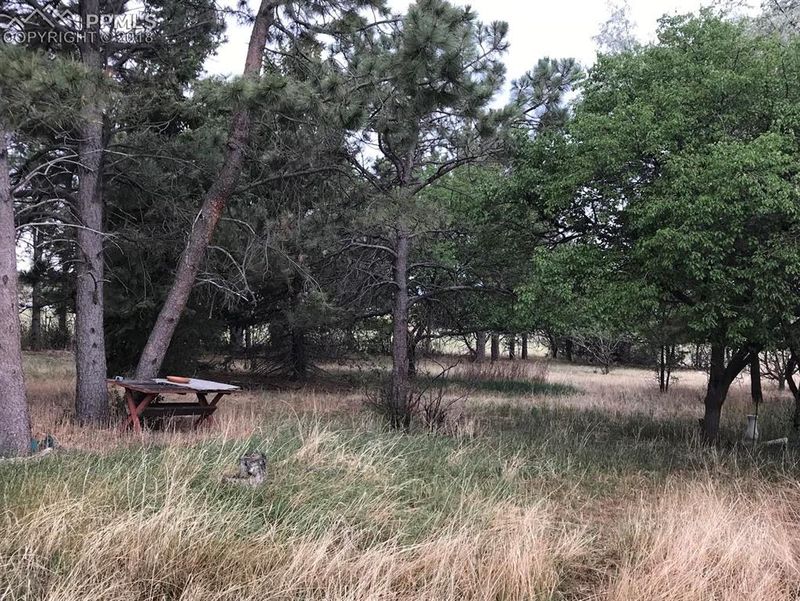 4810 Meridian Rd, Peyton, CO 80831