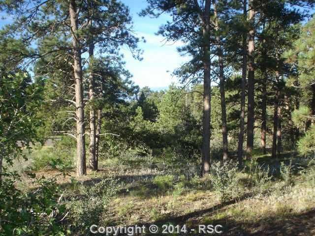 4810 Sierra Ridge Trl, Colorado Springs, CO 80908