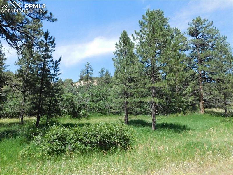 4815 Mohawk Dr, Larkspur, CO 80118