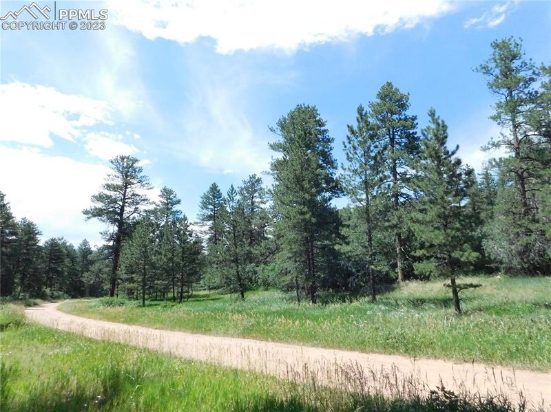 4815 Mohawk Dr, Larkspur, CO 80118
