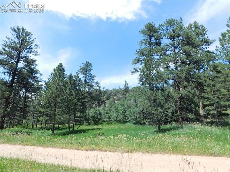4815 Mohawk Dr, Larkspur, CO 80118