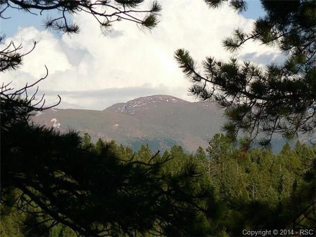 483 Charming View Rd, Divide, CO 80814