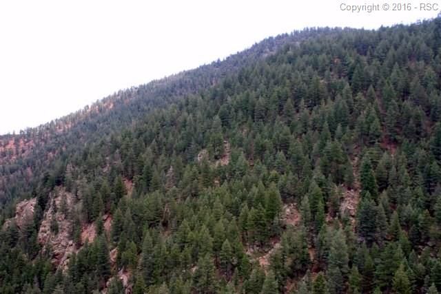 4854 High Ridge Rd, Manitou Springs, CO 80829