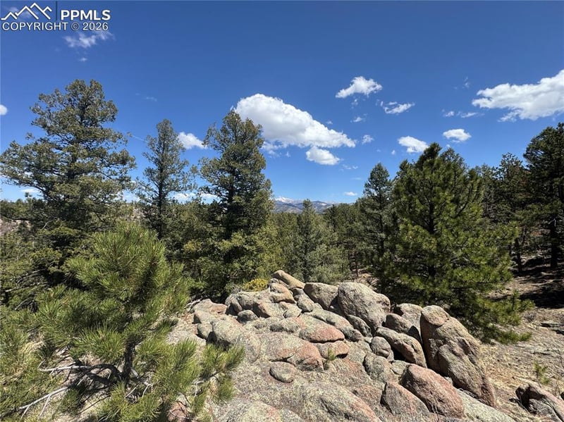 487 Pike View Ln, Florissant, CO 80816