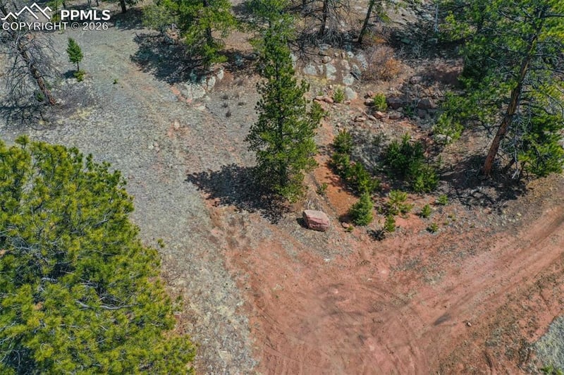 487 Pike View Ln, Florissant, CO 80816