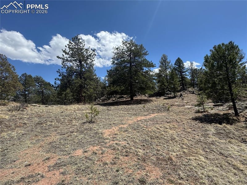 487 Pike View Ln, Florissant, CO 80816