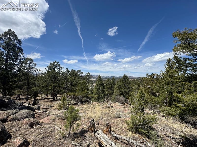 487 Pike View Ln, Florissant, CO 80816