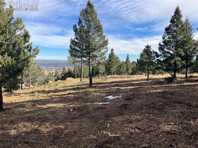 4875 Willow Stone Hts, Colorado Springs, CO 80906