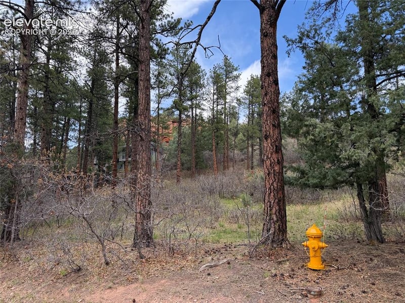 4885 Red Rock Dr, Larkspur, CO 80118