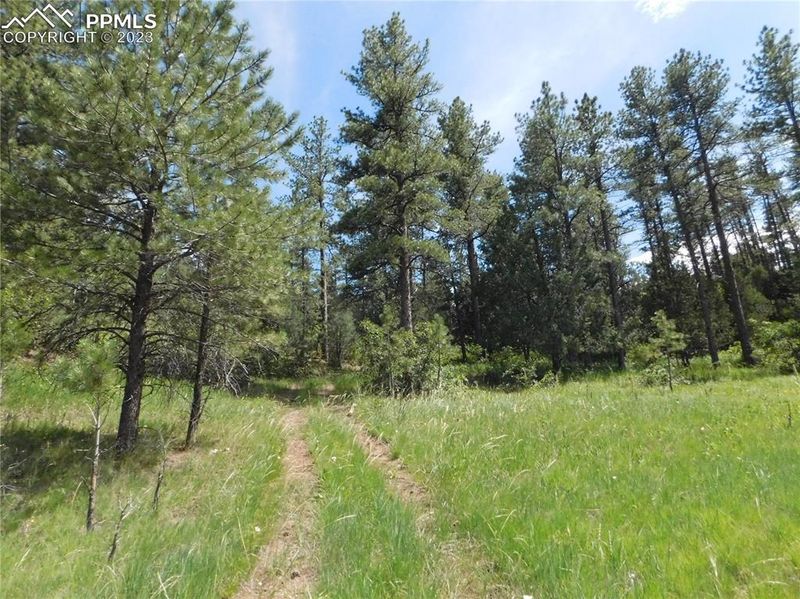 4890 Comanche Dr, Larkspur, CO 80118