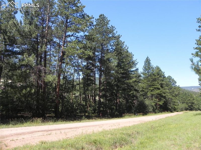 4900 Mohawk Dr, Larkspur, CO 80118
