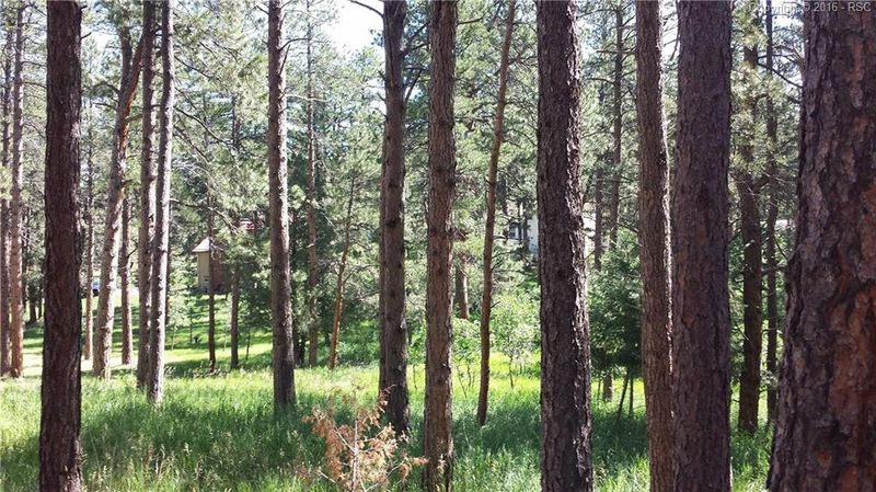 4901 Delaware Dr, Larkspur, CO 80118