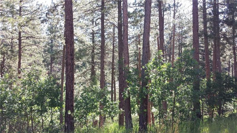 4901 Delaware Dr, Larkspur, CO 80118