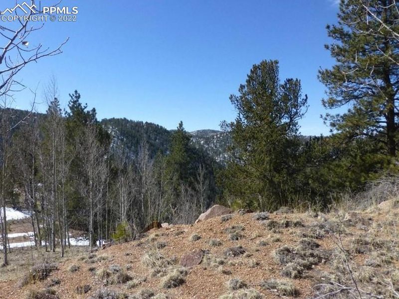 491 Oil Creek Dr, Divide, CO 80814