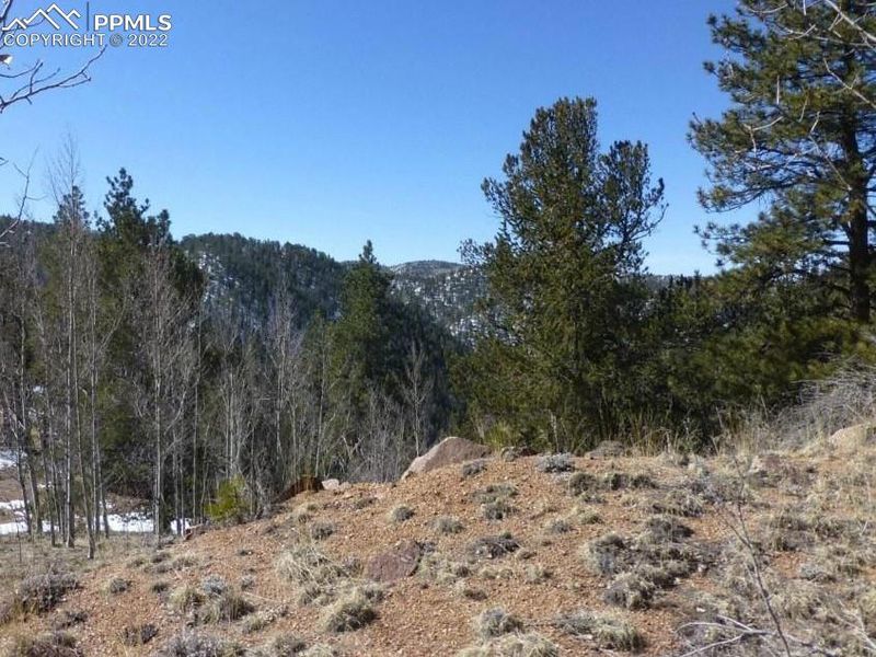 491 Oil Creek Dr, Divide, CO 80814