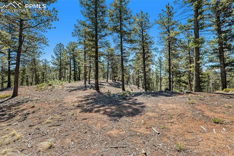 492 Nichole Grv, Woodland Park, CO 80863